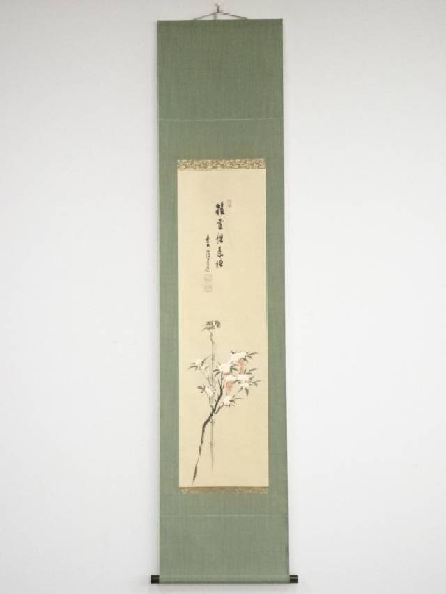 美品 掛け軸 前大徳 須賀玄道作「松無古今色」共箱 禅語 年中掛け 美品 掛け軸 前大徳 須賀玄道作「松無古今色」共箱 禅語 年中