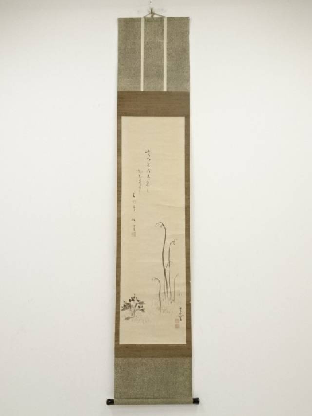 【楽天市場】【中古】【スーパーSALE55オフ】【書画】鈴木芙蓉画 わらび図 桜井梅室賛書 肉筆紙本掛軸(箱付)【送料無料】掛け軸 床の間