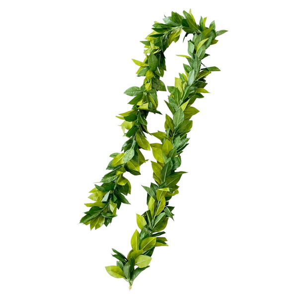 楽天市場】フラダンス衣装 レイ ハワイ 花飾り イベント フラ