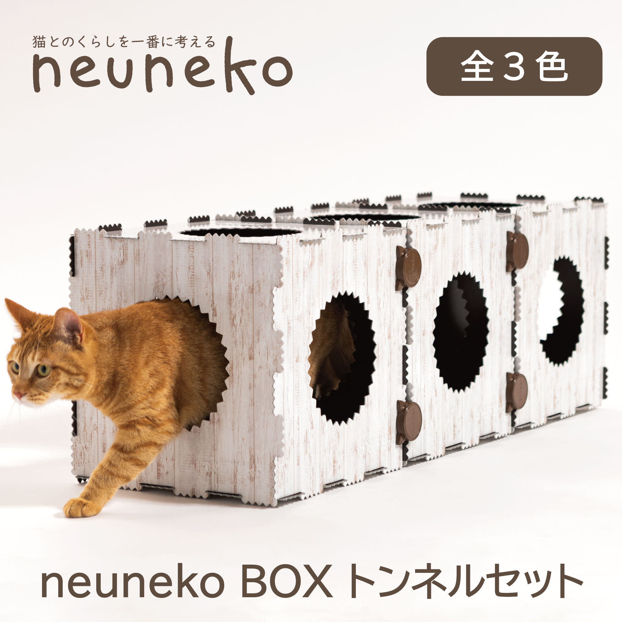 楽天市場】キャットボックス キャットハウス ペットハウス 猫ボックス 