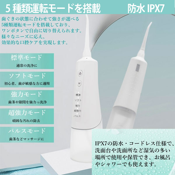 ふるさと割 口腔洗浄器 電動ジェットウォッシャー 口腔洗浄機 180ML USB充電式 替えノズル6本 歯茎ケアー 歯間 歯垢洗浄 携帯型  qdtek.vn