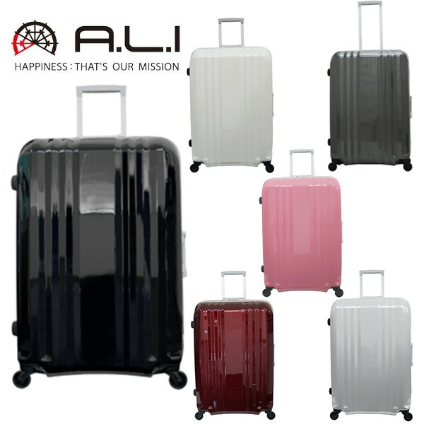 【美品】ALI　スーツケース ハードキャリー 31L カーボン　ホワイト　機内用 楽天市場】ハードキャリーケース スーツケース 機内持ち込み可能