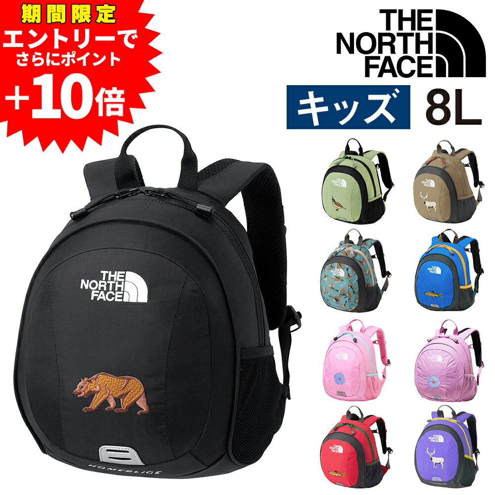 THE NORTH FACE デイパック 楽天市場】ノースフェイス/THE NORTH FACE アクセスパック22