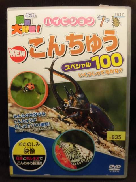 楽天市場 Zd437 中古 Dvd 動物大好き ハイビジョンnew こんちゅう スペシャル100 ハッピービデオ