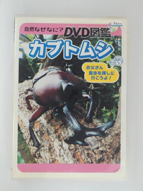 楽天市場 Zd 中古 Dvd 自然なぜなに Dvd図鑑カブトムシ ハッピービデオ