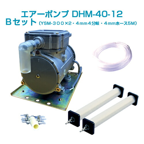 【状態良好】DHM 100グレート・レコーディングス 楽天市場】エアーポンプDHM-40-12 Dセット(12vバッテリー用