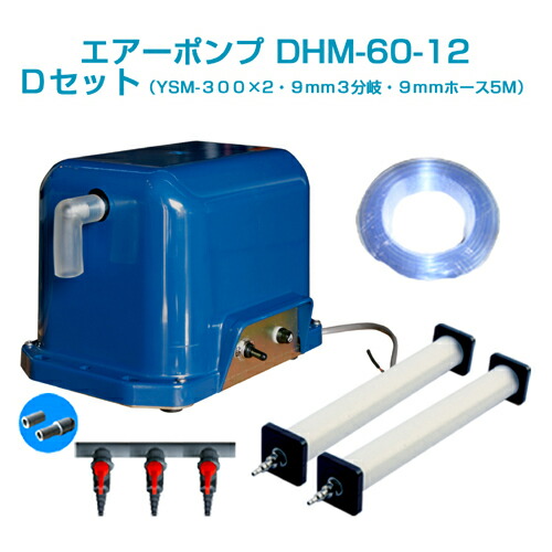 【状態良好】DHM 100グレート・レコーディングス 楽天市場】エアーポンプDHM-60-12 Bセット(12vバッテリー用