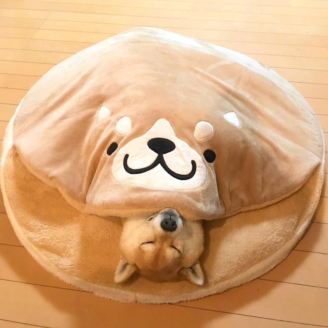 愛玩動物臥榻 猫 犬 小型犬 中型犬 秋 冬 柴犬臥榻 座蒲団 臥榻 洗える 犬 臥榻 犬用 臥榻 愛玩動物 ねこのおふとん 猫 臥榻 学生寄宿舎型 柴犬つづき物 快眠 お布団 座蒲団 円型 猫寝袋 猫住み家 どら焼き ふわふわ 防寒保温 85珊 膚ざわりが好いたらしい ハウス・犬小屋-犬小屋・ケージ・ゲート-ペット・ペットグッズ
