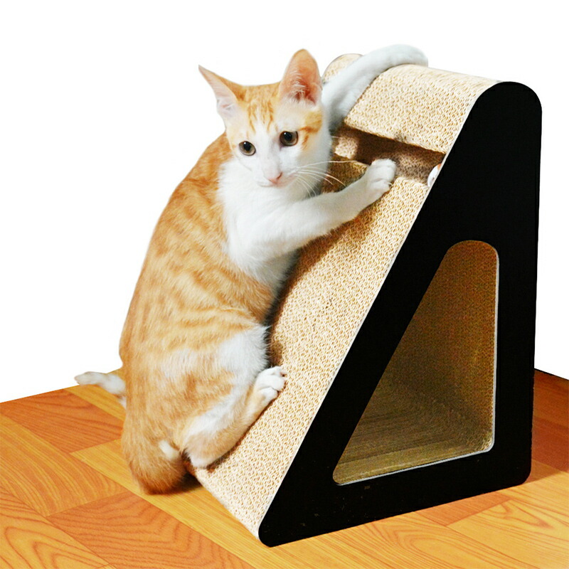 爪とぎ 猫 爪研ぎ キャットグッズ 爪とぎ つめとぎ 爪とぎ長いす 爪みがき 爪とぎ住み家 ダンボール 爪研ぎ 爪磨き ゲーム盤 ３角形 差し上げ物用 調度品や長いす 猫生まれ落ちる日 段ボール 爪やすり 爪磨き 猫用爪とぎ 命のせんたく 寝台 剪断応力押し広める 耐久性 今めかしい 猫装置 おすすめ