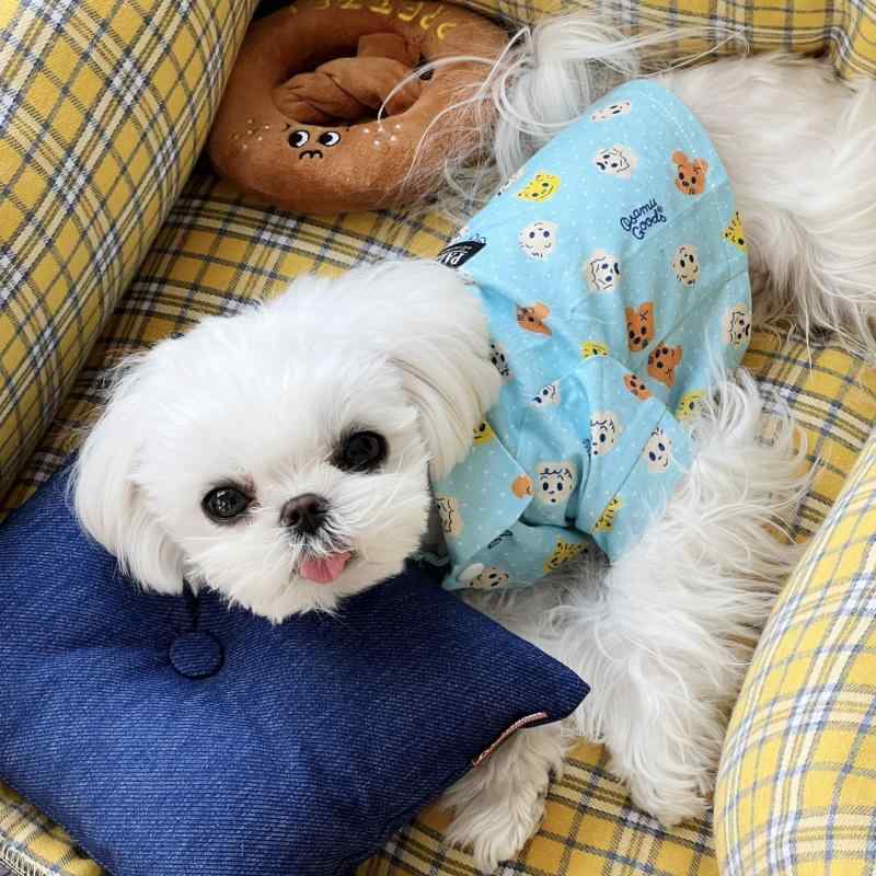 犬服 ドッグウェア パジャマ 秋冬 愛玩動物 猫 春 愛くるしげ プルオーバー ユニバーサル 小中型 青色