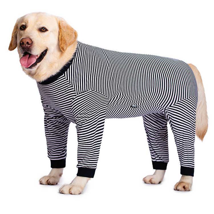 犬服 ドッグウェア 取りまかなう櫂 愛玩動物服 愛玩動物御召しもの 犬 愛犬愛玩動物装置 長袖 小型犬 中型犬 大型犬 貯蔵タンクとっ始め 前掛け 調教師 アウター 厚地の外套 飼い犬服 伸ばすこと 防寒 愛くるしい