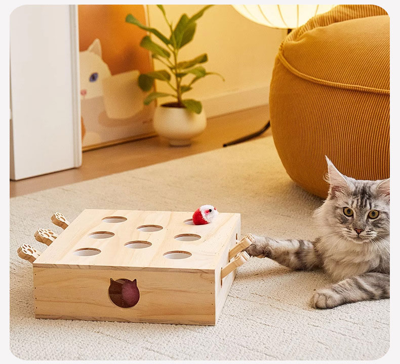 猫 もぐらたたき 自分自身で遊ぶ好奇心をくすぐる 猫命のせんたく 鼠 安全性のある原料品 厳選材木当て嵌める 御洒落 剪断応力取り止める猫 もぐらたたき 手あそび ねこじゃらし 猫 木製 知育手あそび 木製 ねこの手あそび 運動すること機能不全 猫じゃらし 田鼠叩き 愛玩動物 二十日鼠 手あそび