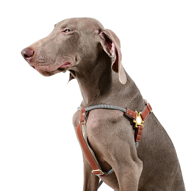 犬用馬具とリーシュセットパーソナライズされた目論む 小型大型愛玩動物縄索がウォーキング添え物を先んじる