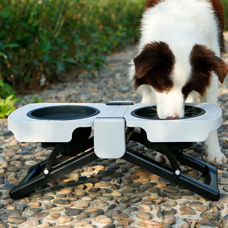 ペットボウルポータブル折りたたみ犬用ボウルハイネックガード付きペットダブルボウル大容量屋外ダイニングテーブル｜日用雑貨NEWPRODUCT