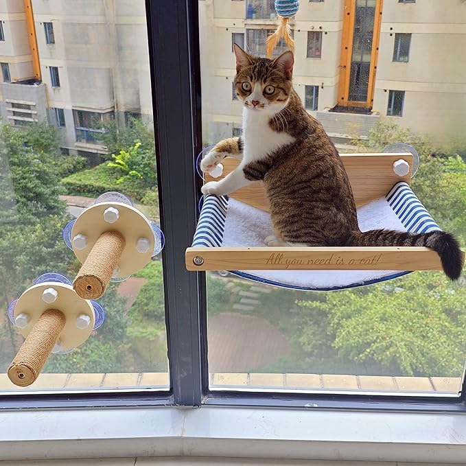 今めかしいな2つの上がり段広々とした猫ハンモック5つの豪然たるな吸いいれる優勝杯付き添い人窓猫臥榻屋内猫パーチペットウィンドウシート