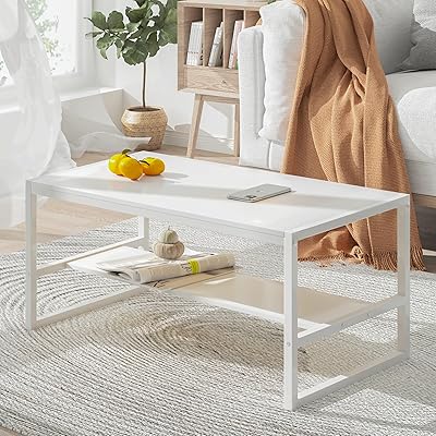 ローテーブル 幅80奥行45高さ38cm センターテーブル リビングテーブル コーヒーテーブル 机 座卓 コンパクトデザイン 収納棚板の高さ可動式 床傷防止用のアジャストフェルト付き 強度安定 錆び防止 耐摩耗性 防水性 耐熱性｜日用雑貨NEWPRODUCT