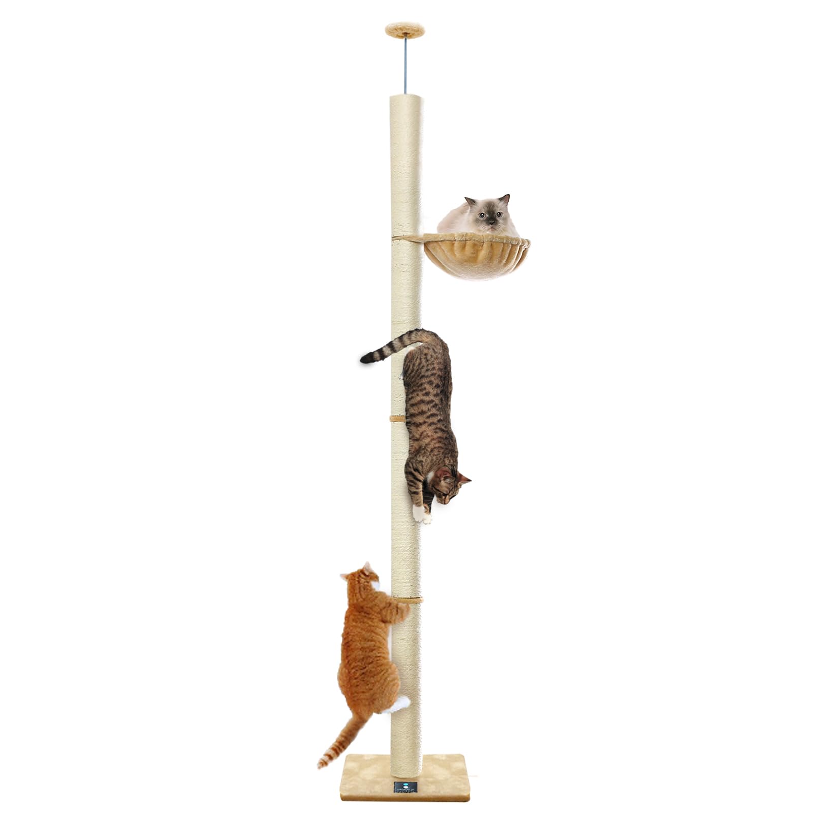 猫爪とぎ 木登りキャットポール 突っ張り(つっぱり)式 高さ240～250cm ハンモック付き 拡張可能 運動不足解消 遊具 遊び場 省スペース インテリア 可愛い デザイン [支柱/直径10cm]｜日用雑貨NEWPRODUCT