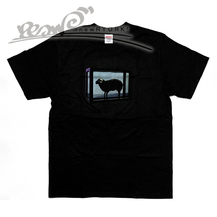 シュプリームTシャツ Supreme シュプリーム 2024SS Cracked Arc S/S Top Tee クラック