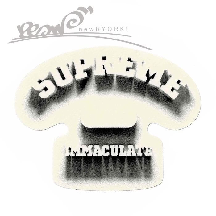 Supreme - Supreme ステッカー シュプリーム バーバリー BURBERRY Supreme Burberry Box Logo Sticker シュプリーム バーバリー