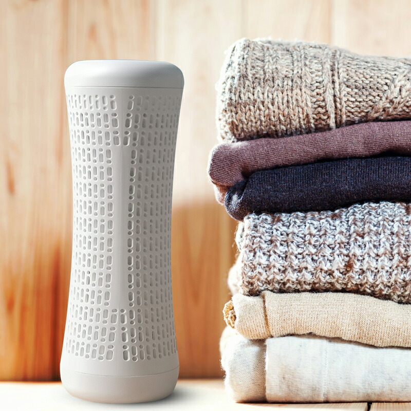 除湿機 小型 除湿剤 繰り返し使える クローゼット 靴棚 カメラ 本棚 ピアノ 専用 防カビ剤 コンパクト 乾燥機 湿気取り 梅雨対策 衣類乾燥 乾燥剤 じょしつき 衣類乾燥機 乾燥除湿機 静音 2本セット Psicologosancora Es