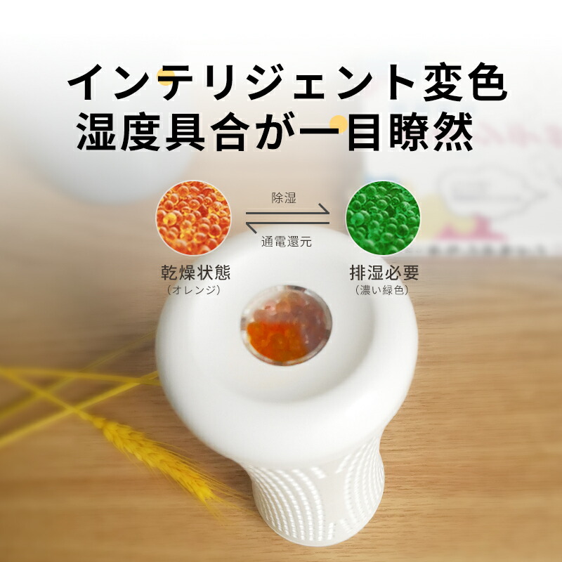 除湿機 小型 除湿剤 繰り返し使える クローゼット 靴棚 カメラ 本棚 ピアノ 専用 防カビ剤 コンパクト 乾燥機 湿気取り 梅雨対策 衣類乾燥 乾燥剤 じょしつき 衣類乾燥機 乾燥除湿機 静音 2本セット septicin Com