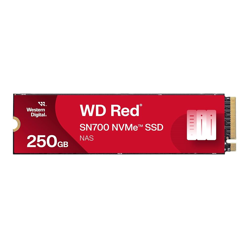 Western Digital 250GB WD Red SN700 NVMe 内蔵ソリッドステート運転 SSD NASデバイス用 - Gen3 PCIe M.2 2280 最大限度3,100MB/秒