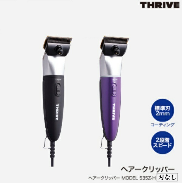 楽天市場】スライヴ MODEL 509-H (替刃なし) ブラック×シルバー