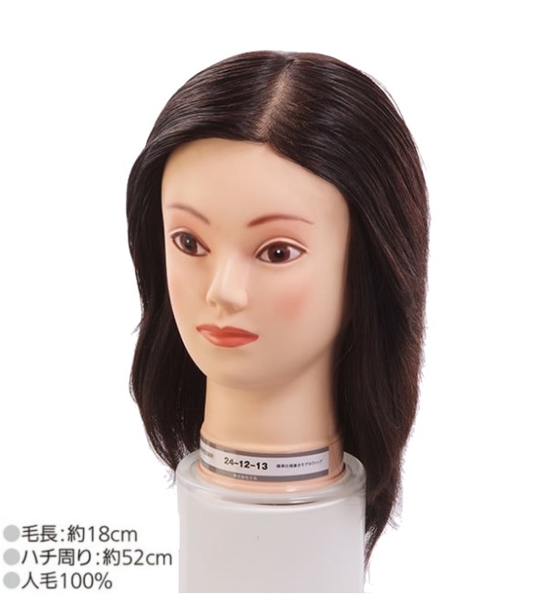 カットウィッグ 東京チャーム 24-12-13 本番用 (国家試験 レイヤーカット 美容師 スタイリスト サロン カット パーマ ヘアカラー セット 編み込み アップ 練習)