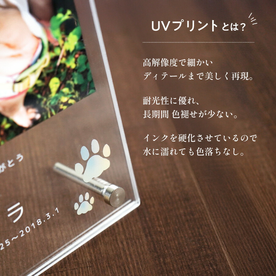 名入れ無料 送料無料 チワワ 名入れ 写真立て フォトフレーム ペットグッズ ペット 写真入れ イヌ ヨークシャーテリア 名前入り いぬ 写真たて 犬