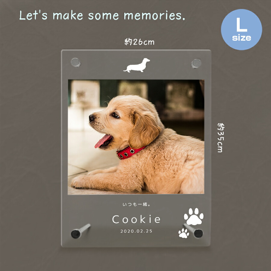 名入れ無料 映画フレイム 大きさl トランペット ペットグッズ 写真立て フォト電灯 ペット用件貫目 アクリル繊維 御土産 捧呈 上書太陽日 ペットメモリアル 飼い犬 アニマル メモリアル ダックフント コーギー Usdre Com