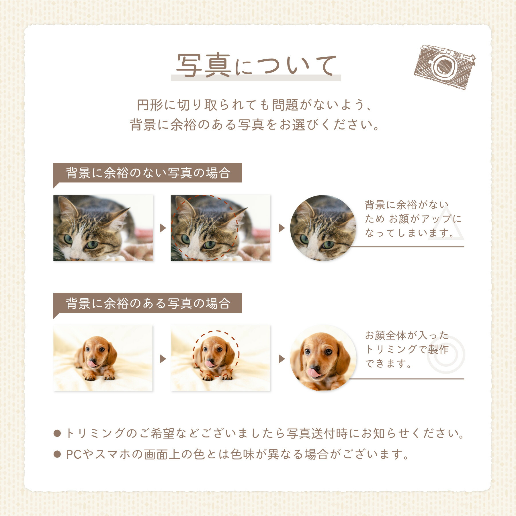 【名入れ無料メール便送料無料】猫のひげケース写真ヒゲ髭ネコねこメモリアルペットお名前入りオリジナル名入れ保管お守り猫のひげ入れ動物名前かわいいプレゼントギフト松製可愛い箱記念品思い出毛入れ