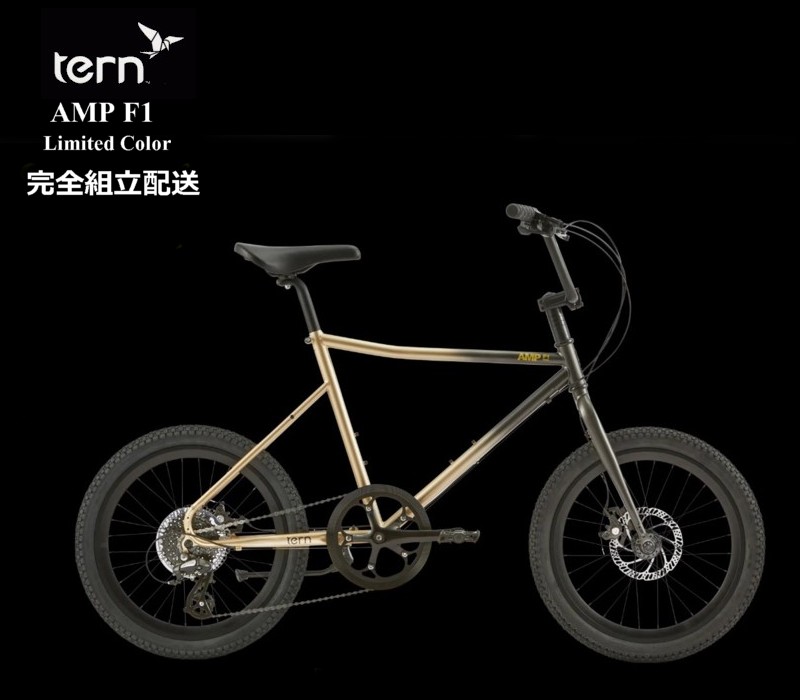 tern(曲がること) AMP F1 \"アンプリファイアー F1\"" 2024模範例 押さえる色つや BLACK CHAMPAGNE"