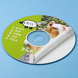 ☆【5個セット】 サンワサプライ インクジェットDVD/CDラベル(つやなしマット) LB-CDR001N-50X5