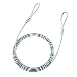 ☆【10個セット】 サンワサプライ eセキュリティ(2.0M4.6mm) SLE-8W-2NX10