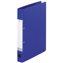 ☆【10個セット】 LIHIT LAB. リクエスト D型リングファイル A4S 青 G2220-8-BLX10