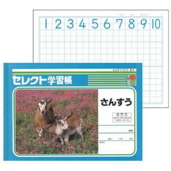 送料無料 代引不可 セレクト学習帳 さんすう 文運堂 教科ノート 十字リーダー入 B5 6マス 10冊セット 22mm方眼