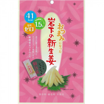 送料無料 代引不可 他の商品と同梱不可 47g 1袋 壮関 おつまみになった岩下の新生姜