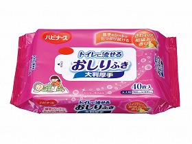 ハビナーストイレに流せるおしりふき大判厚手 ケース｜くらそっと