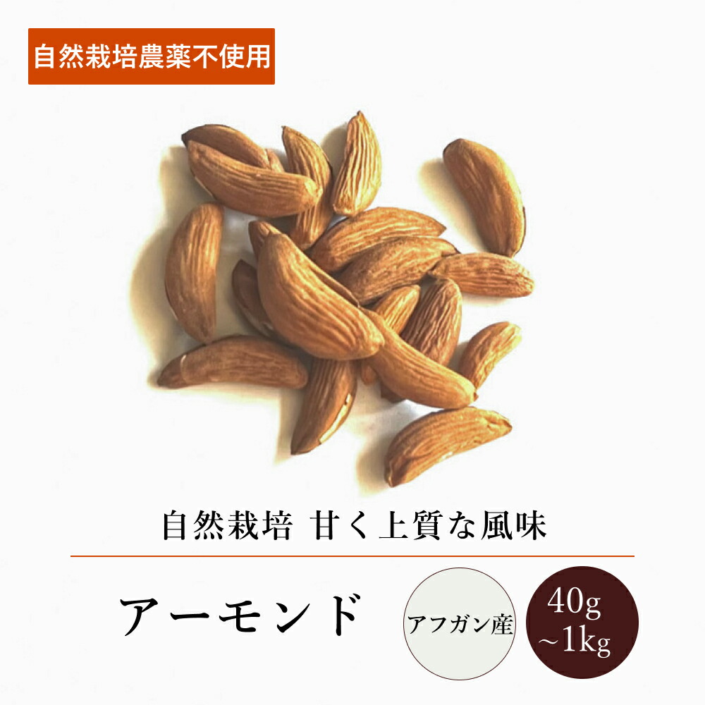 アフガンアーモンド(40g～1kg)【エヌ・ハーベスト】アフガニスタン ローアーモンド 生アーモンド ナッツ 自然栽培 天日干し フェアトレード 無農薬 砂糖不使用 甘味料無添加 無漂白 無香料 無着色 おやつ ヨーグルト 焼き菓子 メール便 大容量 業務用｜エヌ・ハーベスト 7,385円
