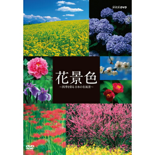 DVD NHKさわやか自然百景12枚組 楽天市場】エントリーで全品ポイント10倍さわやか自然百景