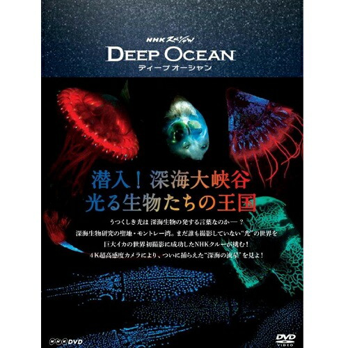 楽天市場】エントリーで全品ポイント10倍DVD NHKスペシャル