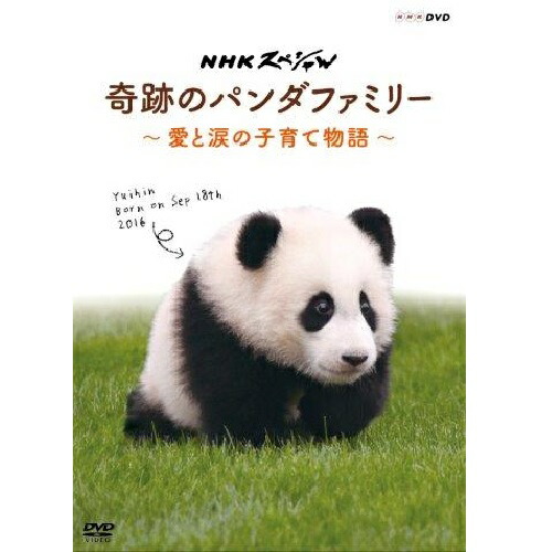 楽天市場】ネコメンタリー猫も、杓子も。2 DVD 全2枚 : NHK