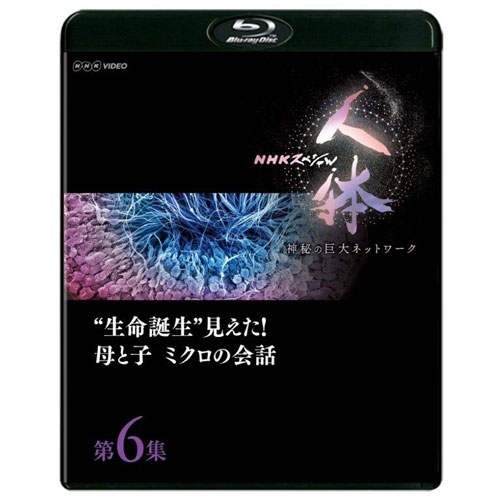 楽天市場 Nhkスペシャル 人体 神秘の巨大ネットワーク 第6集 生命誕生 見えた 母と子 ミクロの会話 Nhkスクエア Dvd Cd館