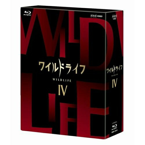 楽天市場】ワイルドライフ ブルーレイBOX5 全3枚セットNHKの技術力・取材力の粋を集めた本格自然番組のDVDとブルーレイ！  シリーズ第5弾は、「飛行生物の謎編」。 : NHKスクエア DVD・CD館