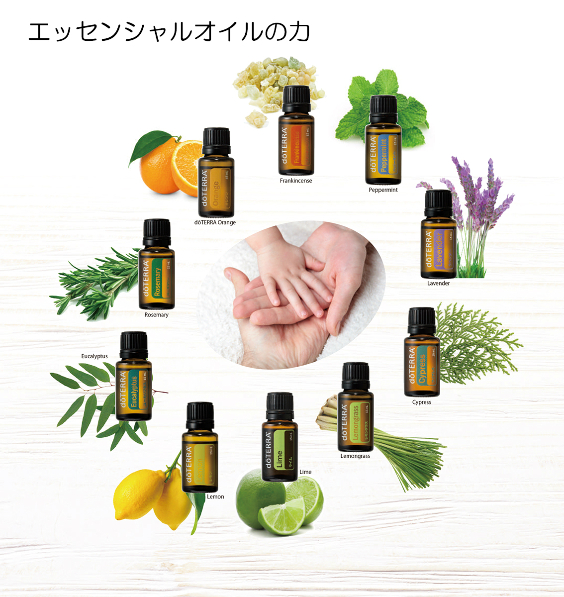 楽天市場 ドテラ Doterra ココナッツオイル 115ml アロマオイル エッセンシャルオイル 精油 N H Shop