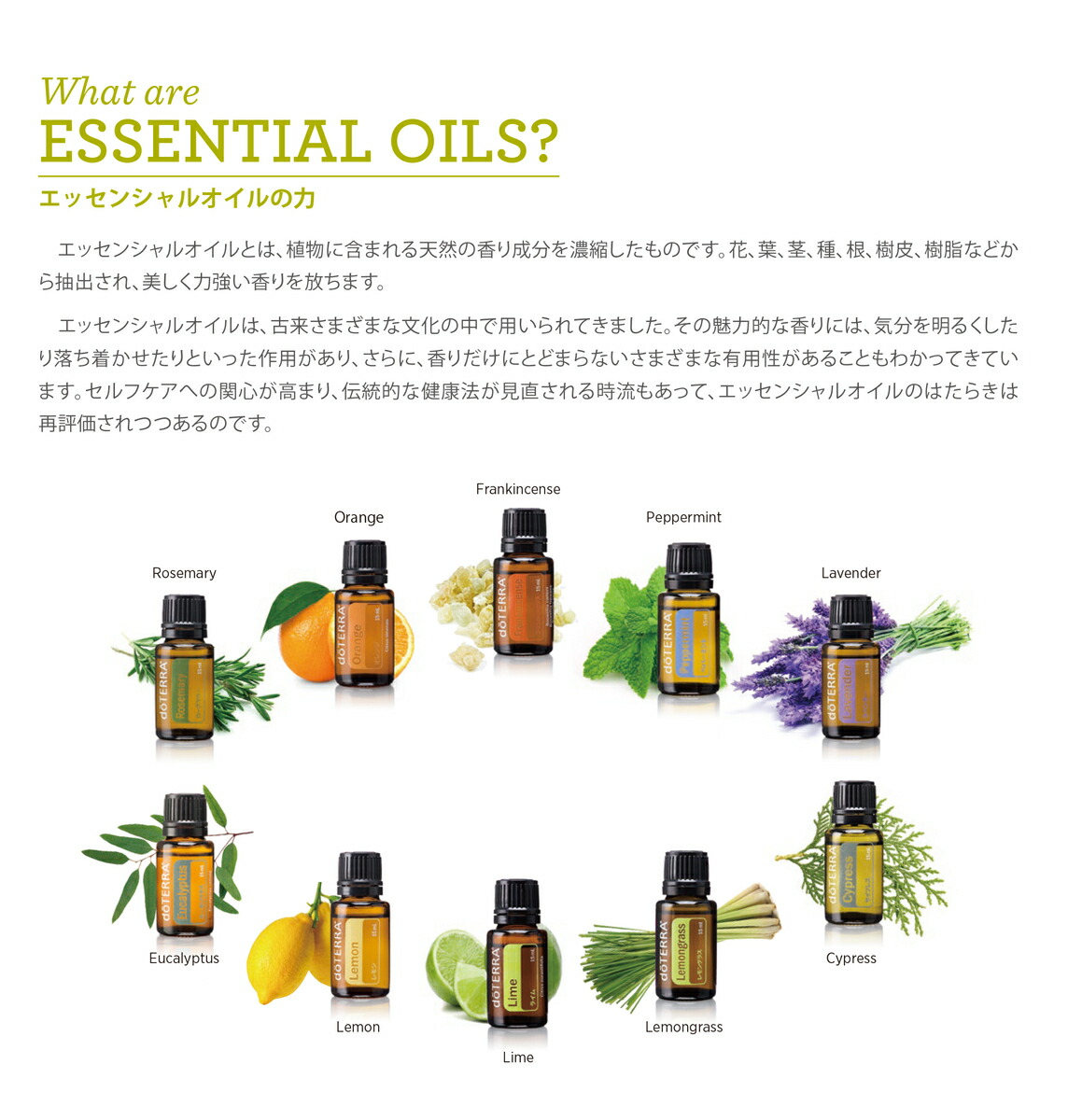 割引価格 ドテラ 花粉症対策キット 4点セット 花粉症のトラブルに Www Mheemhee Com 割引価格 ドテラ 花粉症対策キット 4点セット 花粉症のトラブルに Www Mheemhee Com