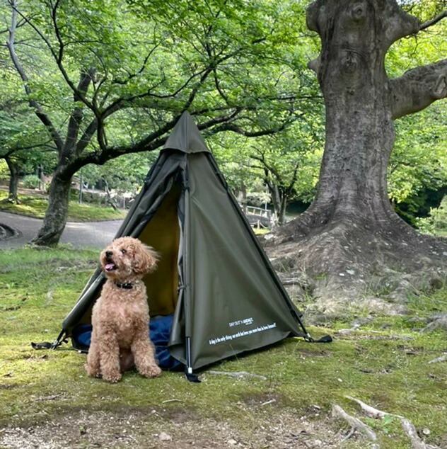 Dog Tippy Tent ドッグ 小型犬用 わんちゃん テント ティピ アンドナット Nut デイアウト Out 軽量 Day 犬用テント ベッド And