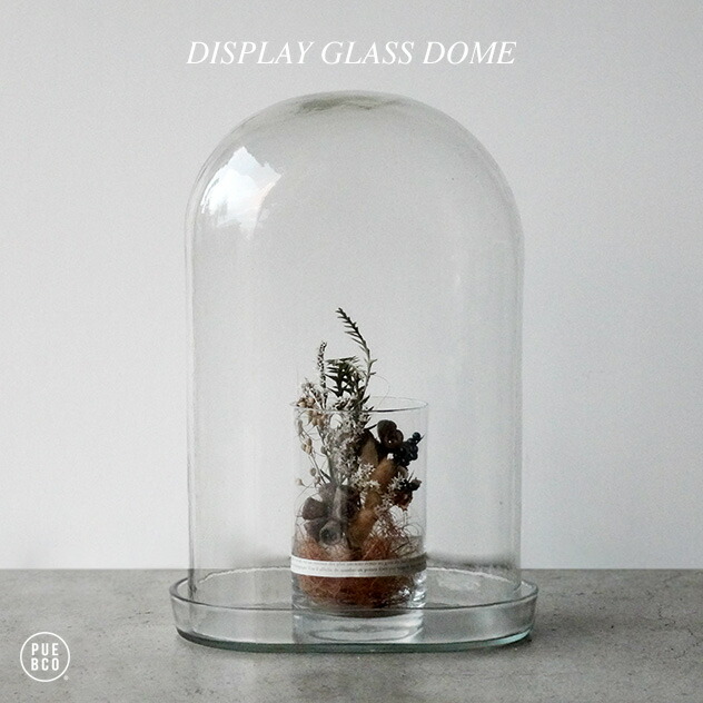楽天市場】DISPLAY GLASS DOME / ディスプレイ ガラス ドーム