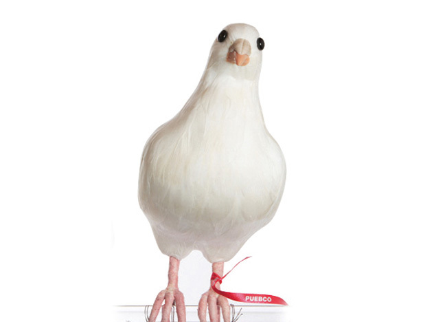 楽天市場 Dove ｌ 鳩 ハト はと Puebco Artificial Birdsプエブコ アーティフィシャルバード1177 あす楽対応 東海 Interiorzakka ｚｅｎ ｙｏｕ