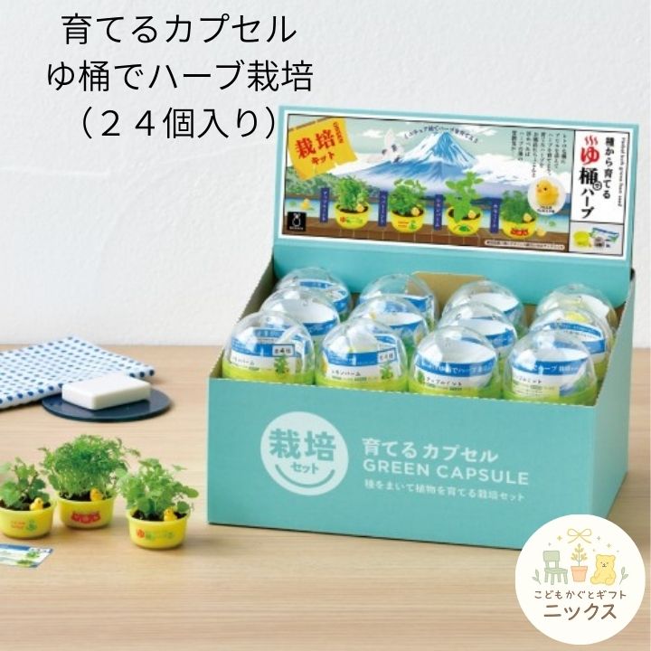 栽培キット 室内 ハーブ 育てるカプセル ゆ桶でハーブ栽培 聖新陶芸 ミニアヒルのフィギュア付き カプセル 銭湯 お風呂 桶 ミニチュア 観葉植物 種 アップルミント ペパーミント レモンバーム カモミール|こどもかぐとギフト ニックス
